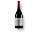 Vinho-Frances-Philippe-Pacalet-Tinto-Nuits-St-George-2015-12x750