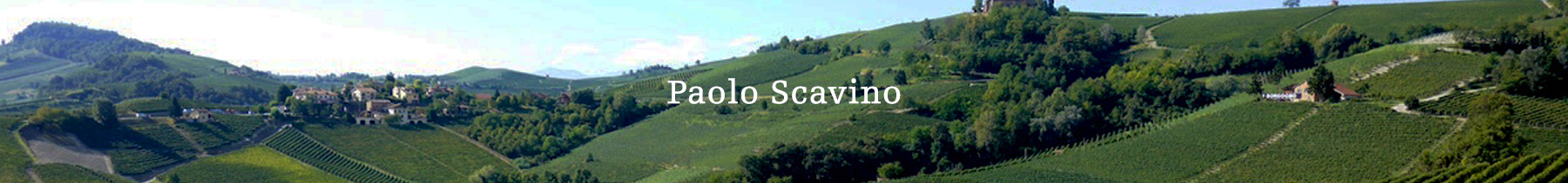 Paolo Scavino