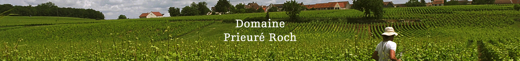 Domaine Prieuré Roch