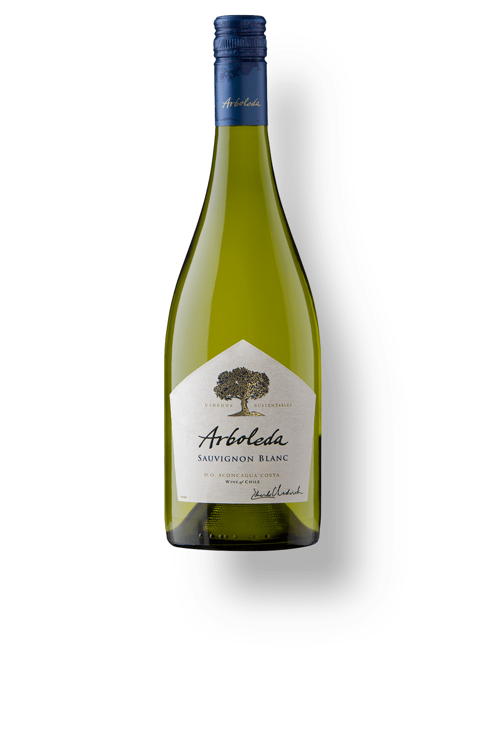 Vinho Arboleda Branco Seco Chile Sauvignon Blanc 2024 750ml