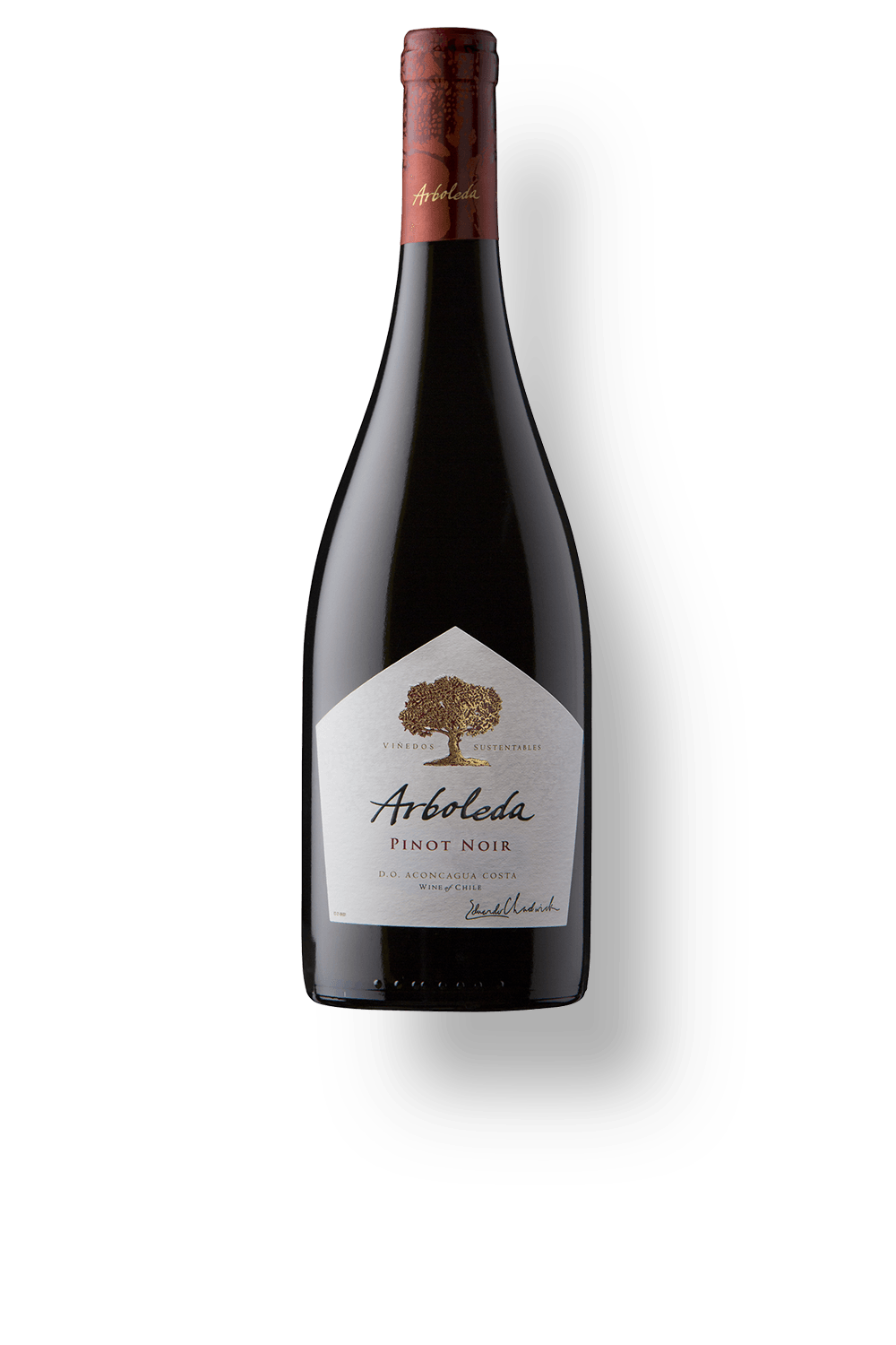 Vinho Arboleda Tinto Seco Chile Pinot Noir 2023 750ml