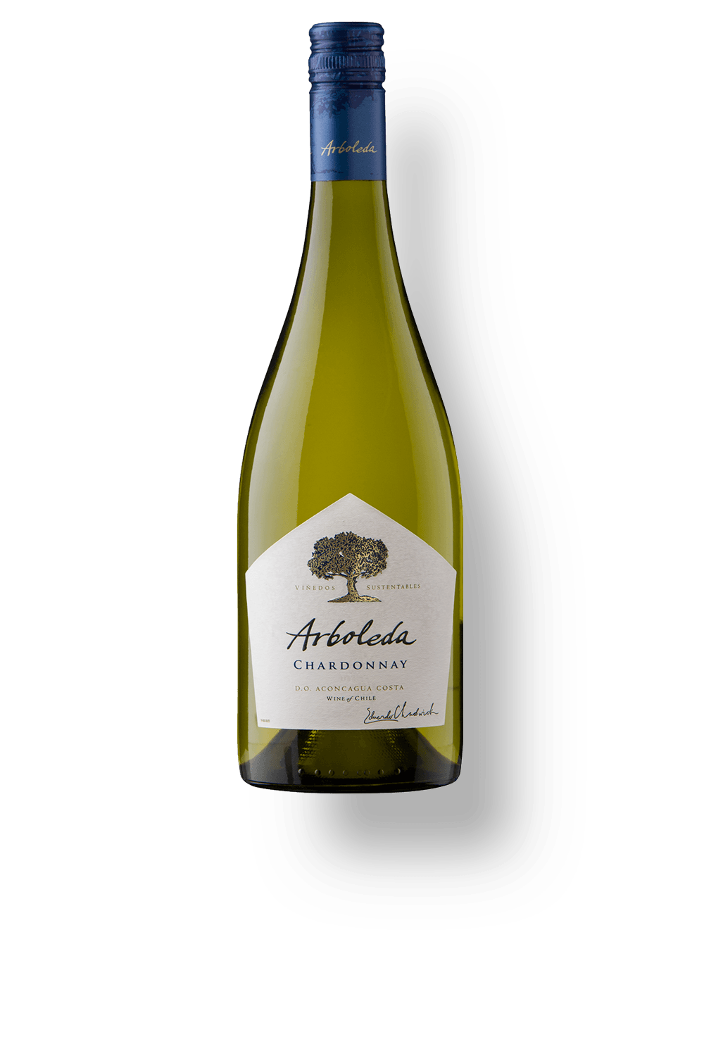 Vinho Arboleda Branco Seco Chile Chardonnay 2022 750ml