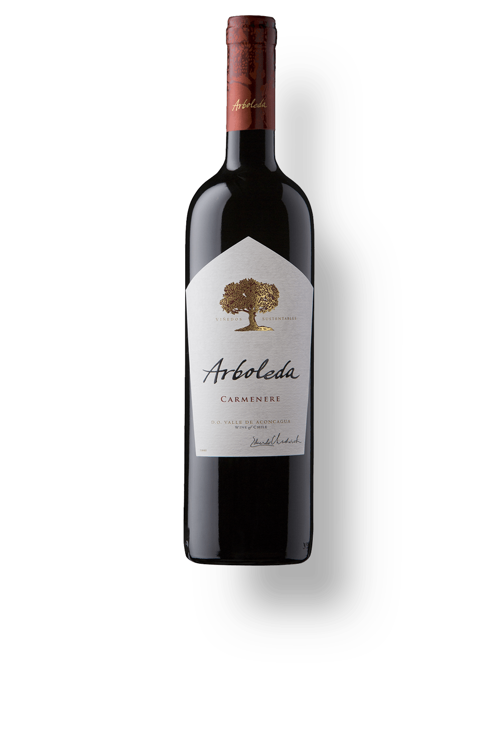 Vinho Arboleda Tinto Seco Chile Carménère 2021 750ml