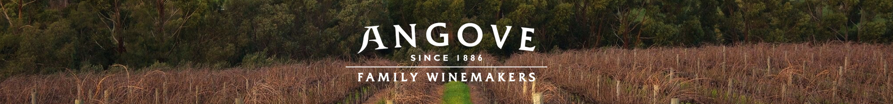 Angove Long Row Riesling - worldwine