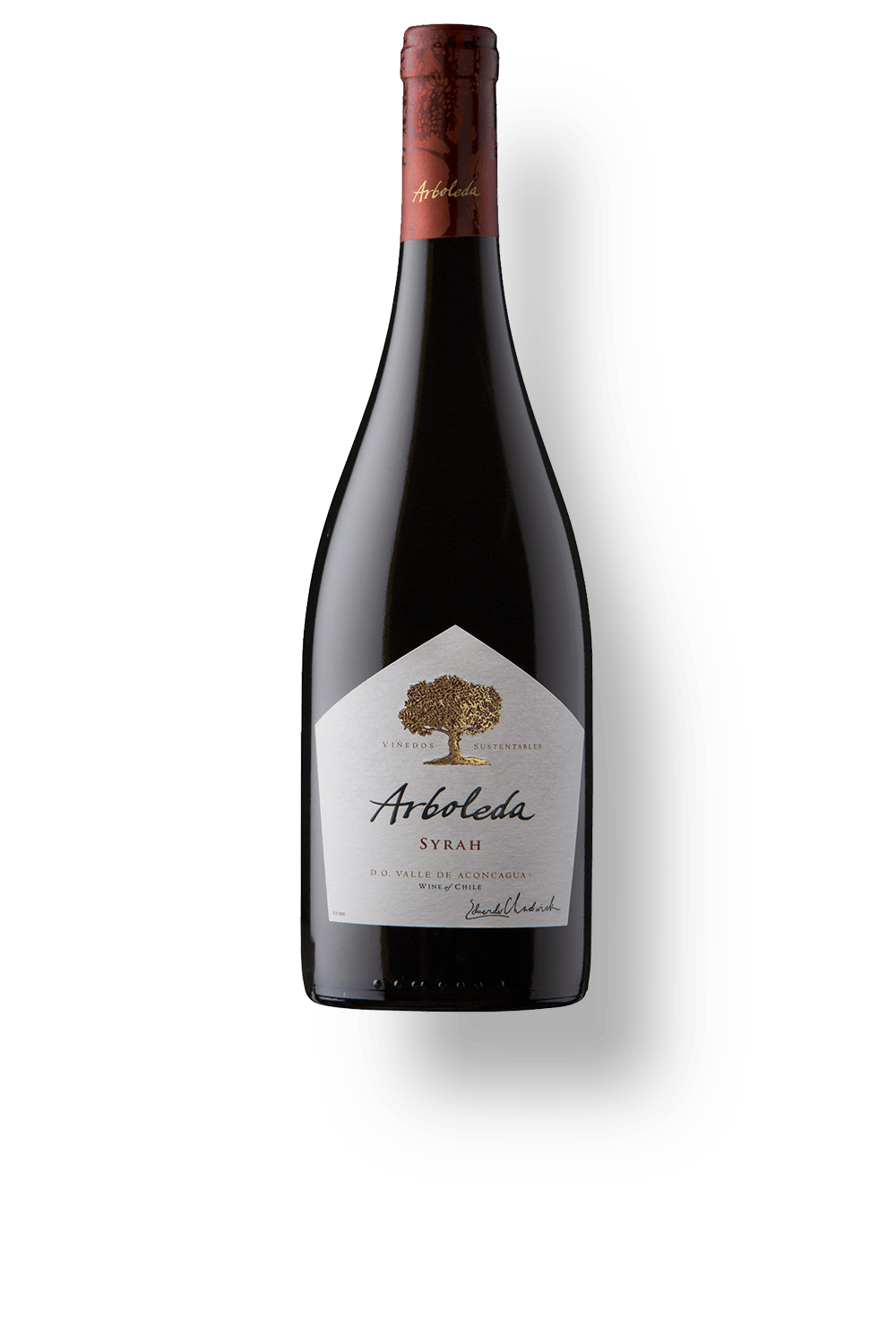 Vinho Arboleda Tinto Seco Chile Syrah 2021 750ml