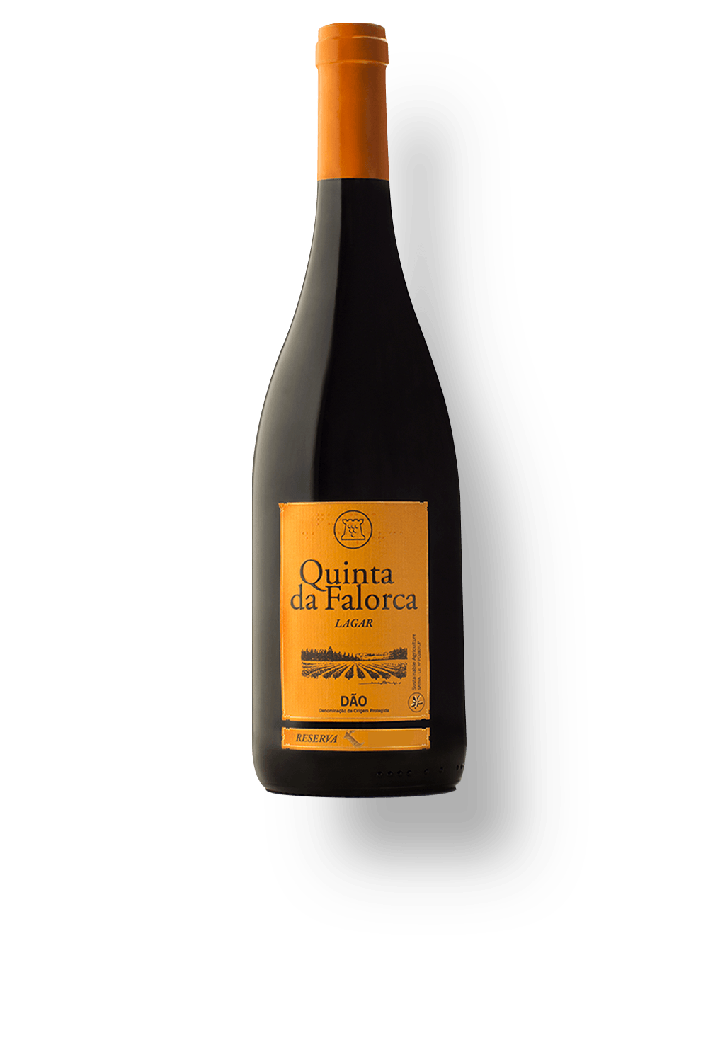Vinho Quinta da Falorca Tinto Seco Portugal Lagar Reserva Alfrocheiro, Tinta Roriz, Touriga Nacional 2014 750ml