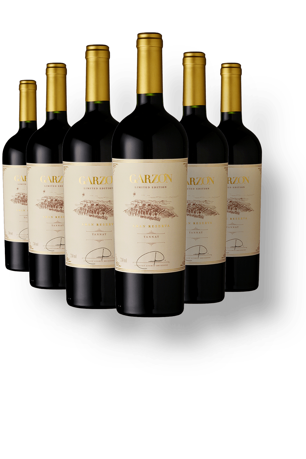 Vinho Kit 6 Garzon Gran Reserva Tannat Worldwine Vinho Kit 6 Garzon Gran Reserva Tannat Worldwine