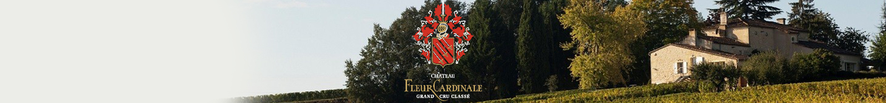 Château Fleur Cardinale