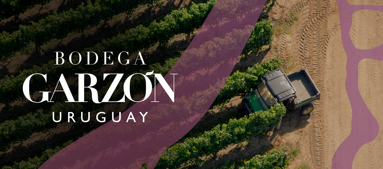 Bodega Garzón 2