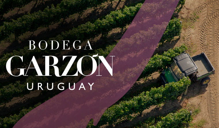 Bodega Garzón 2