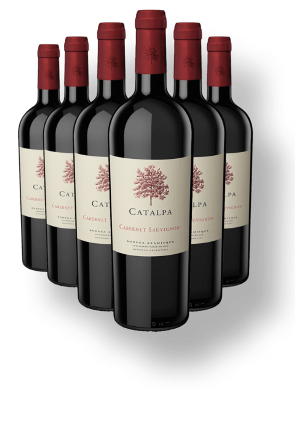 catalpa_cabernet_sauvignon