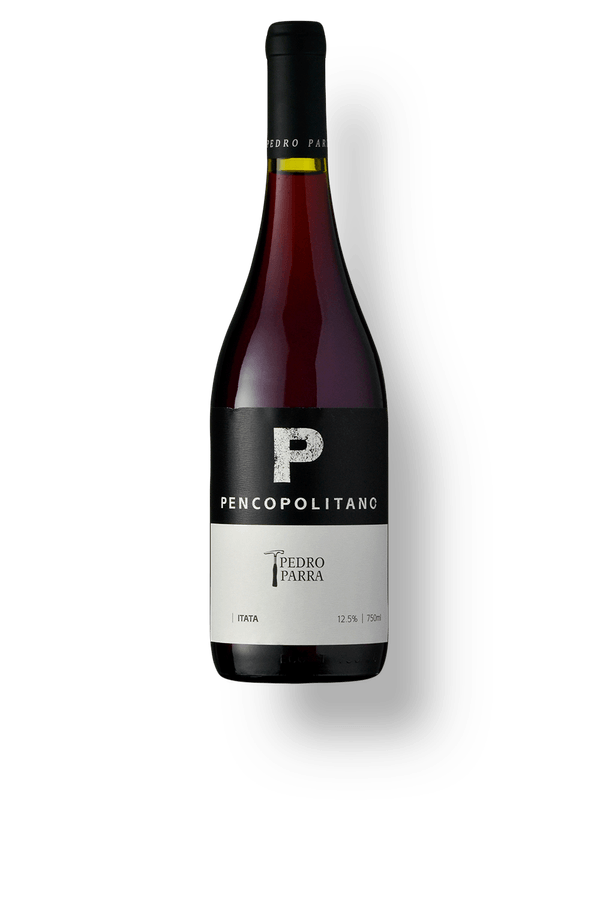 Pedro Parra Y Familia Pencopolitano