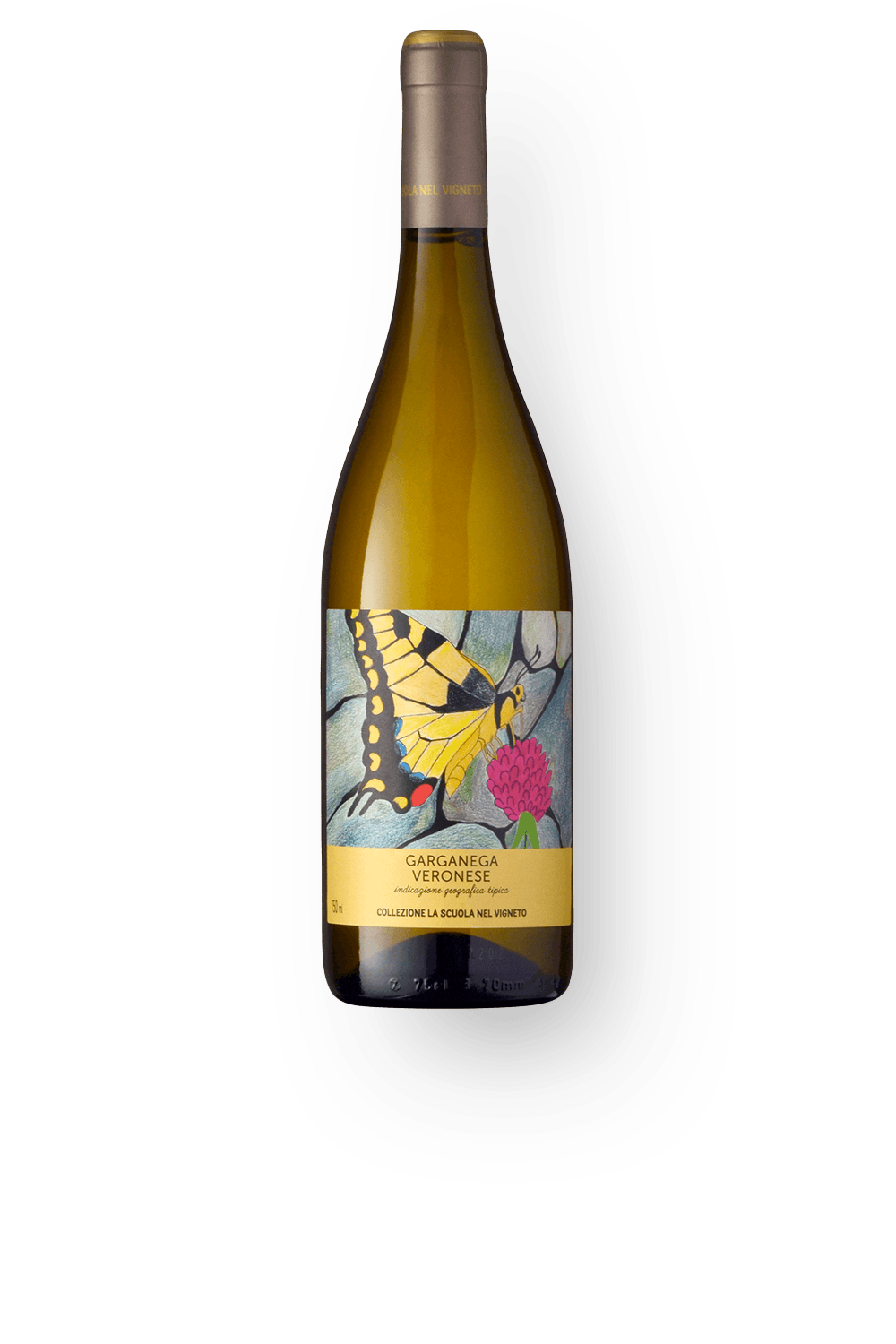 Vinho Domìni Veneti Branco Seco Itália Collezione La Scuola Nel Vigneto Garganega 2023 750ml