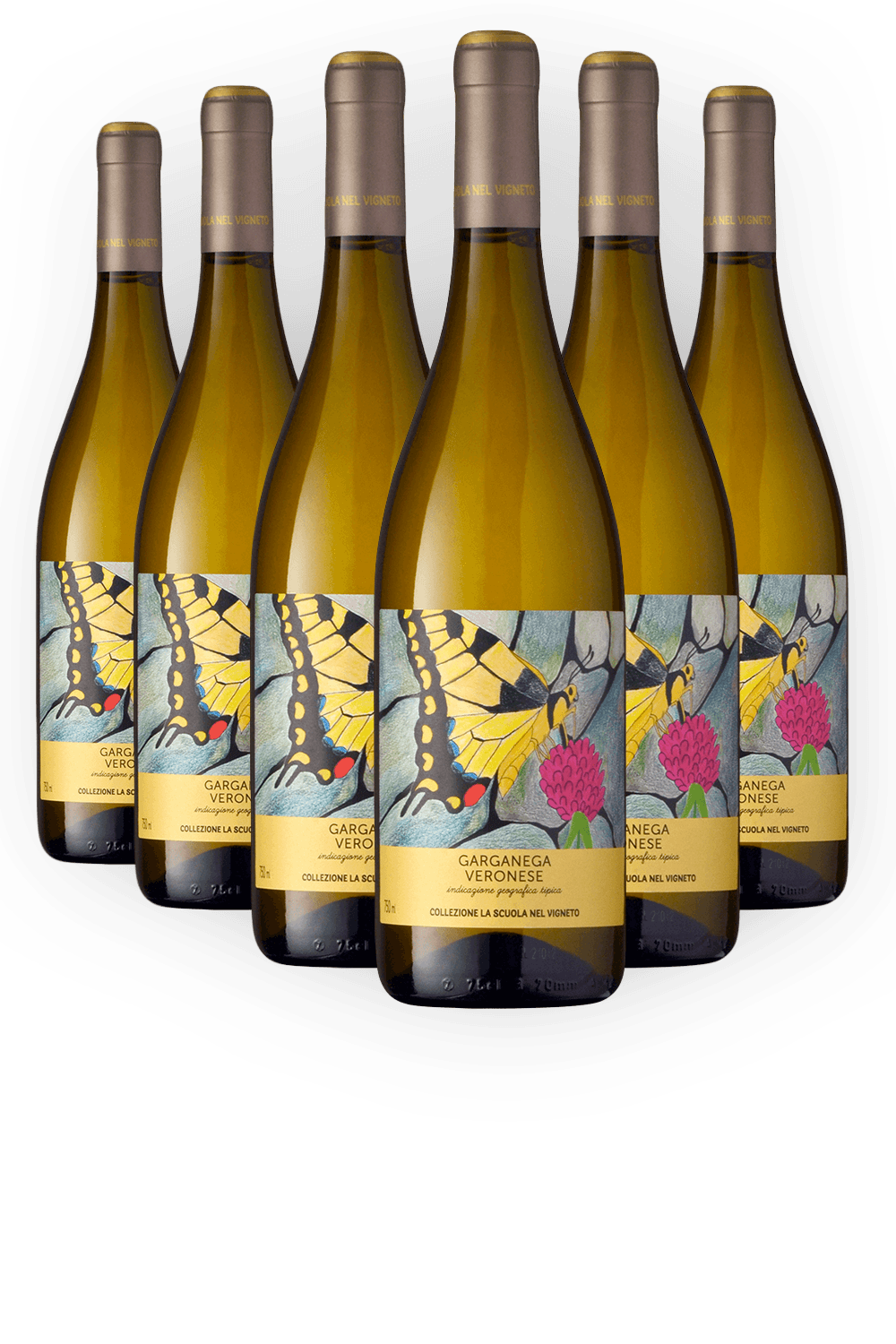 Vinho Domìni Veneti Branco Seco Itália Collezione La Scuola Nel Vigneto Garganega 2023 750ml - 6 Unidades