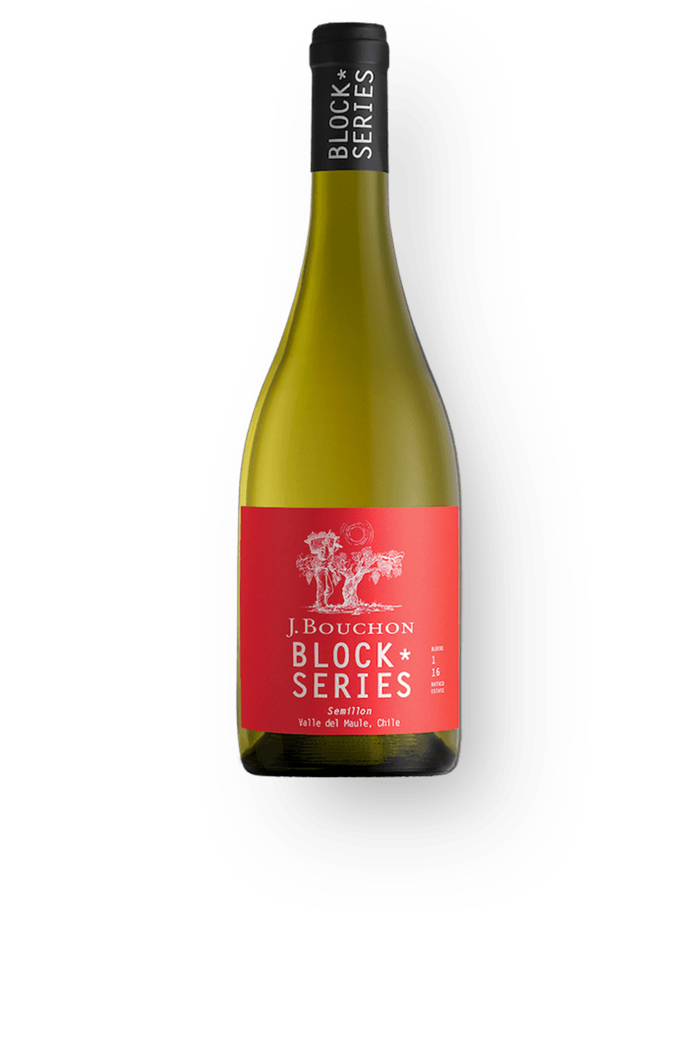 Vinho Bouchon Family Wines Branco Seco Chile Block Series Sémillon 2023 750ml
