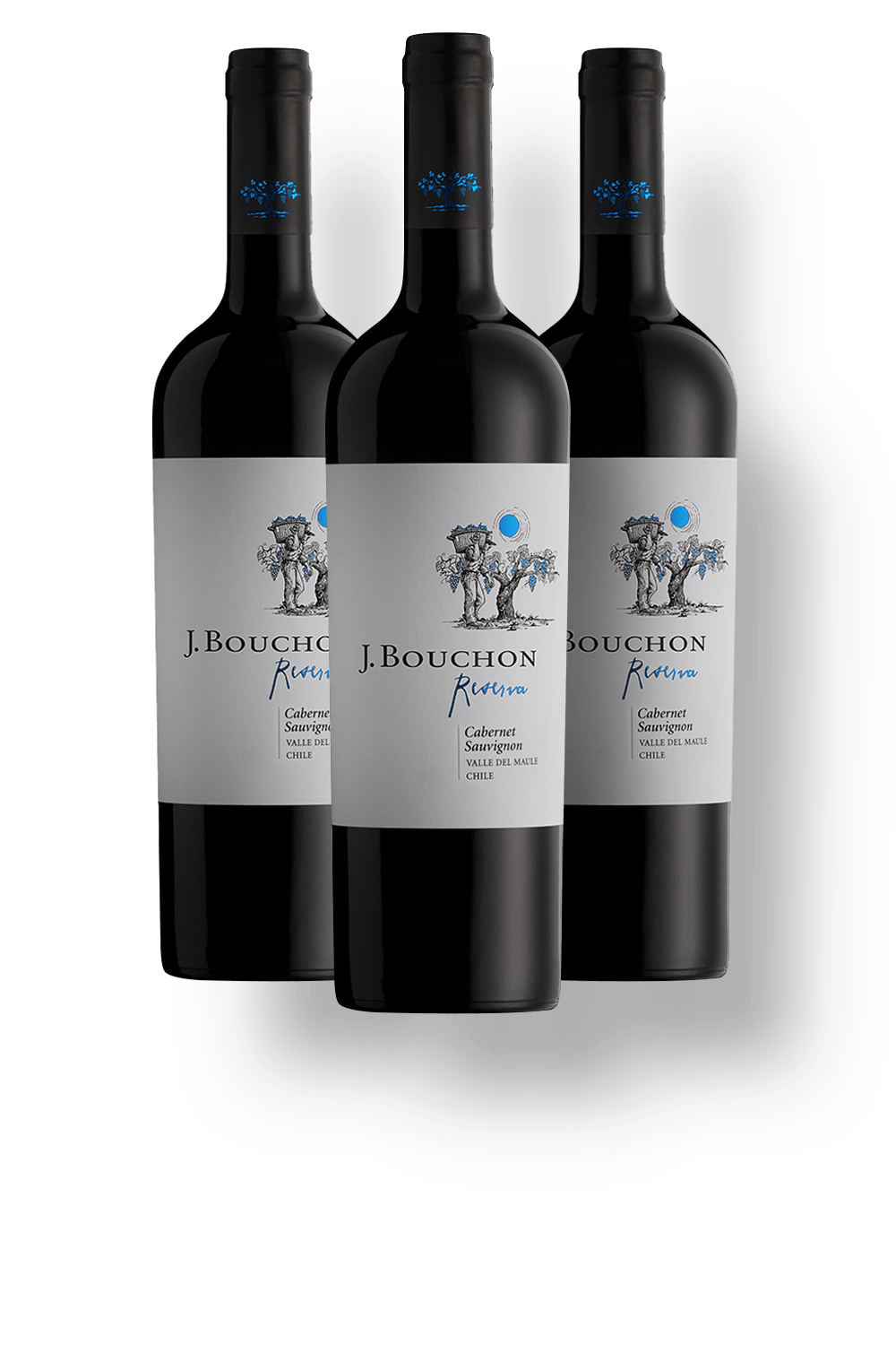 Vinho Bouchon Family Wines Tinto Seco Chile Reserva Cabernet Sauvignon 2022 750ml - 3 Unidades