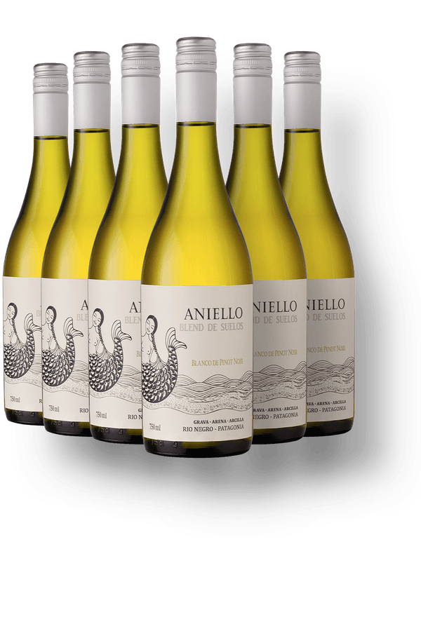 Kit 6 Aniello SOIL Blanco de Pinot Noir