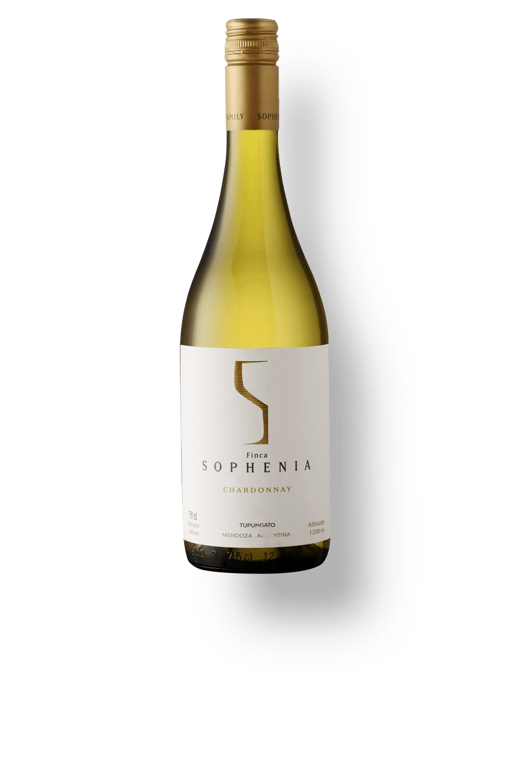 sophenia-Chardonnay