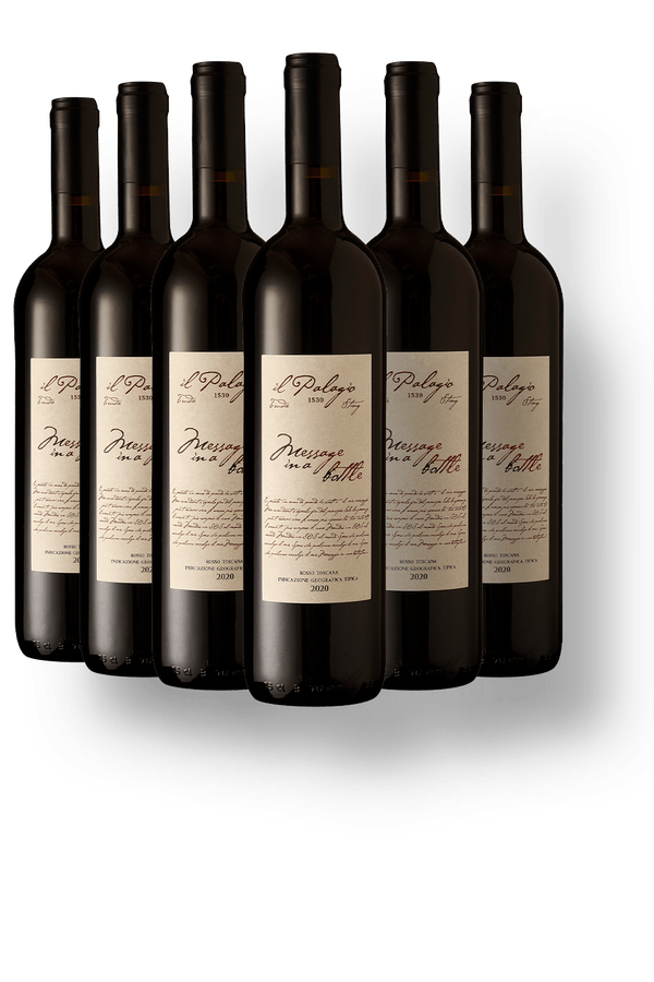 Kit 6 Il Palagio Message In a Bottle Sangiovese Toscana IGT