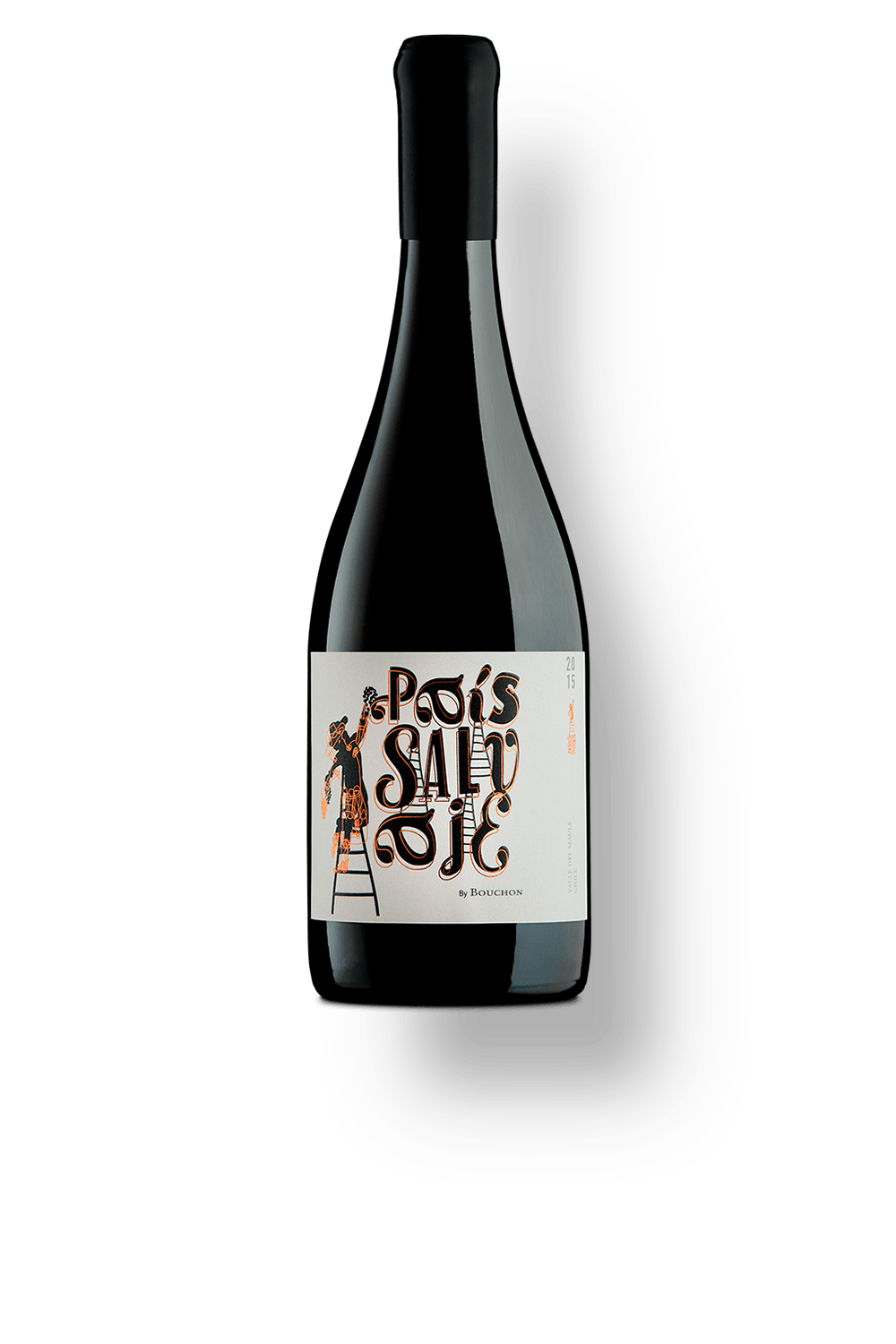 Vinho Bouchon Family Wines Tinto Seco Chile Salvaje País 2022 750ml