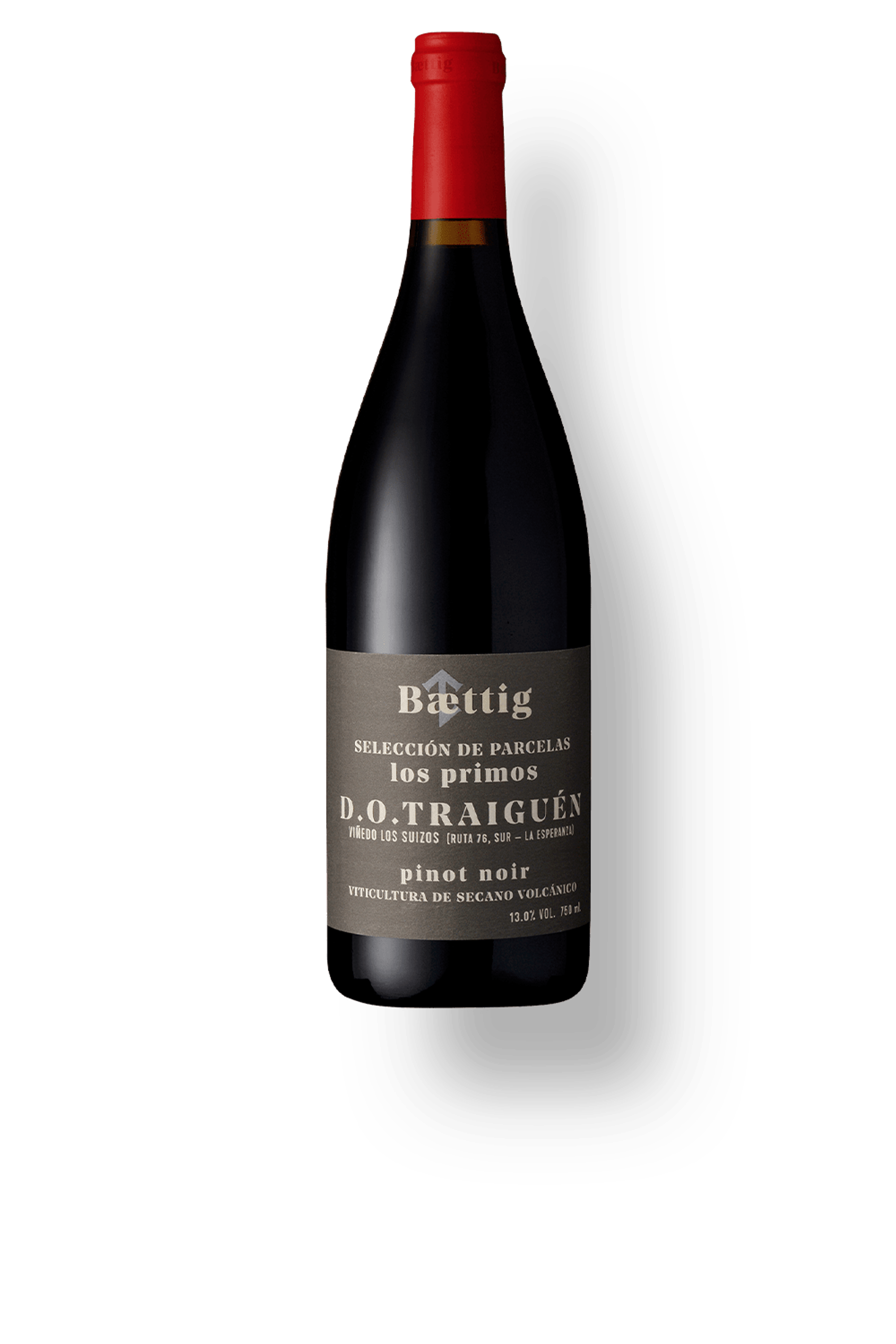 Boyer-De Bar - Pinot Noir Les Rives de L'Estang 2021 (Organic