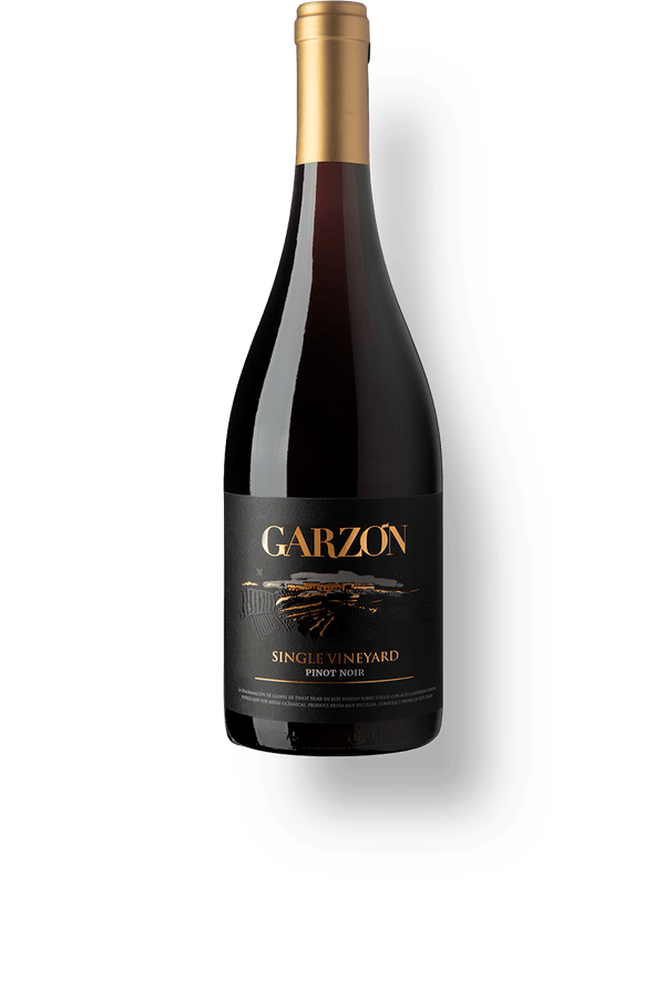Garzón Single Vineyard Pinot Noir