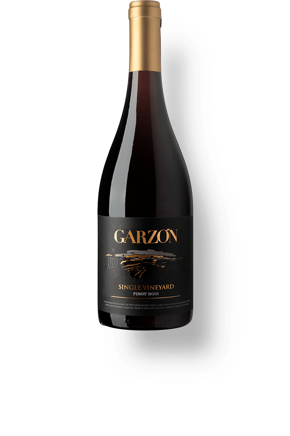 Vinho Bodega Garzon Tinto Seco Uruguai Single Vineyard Pinot Noir 2023 750ml