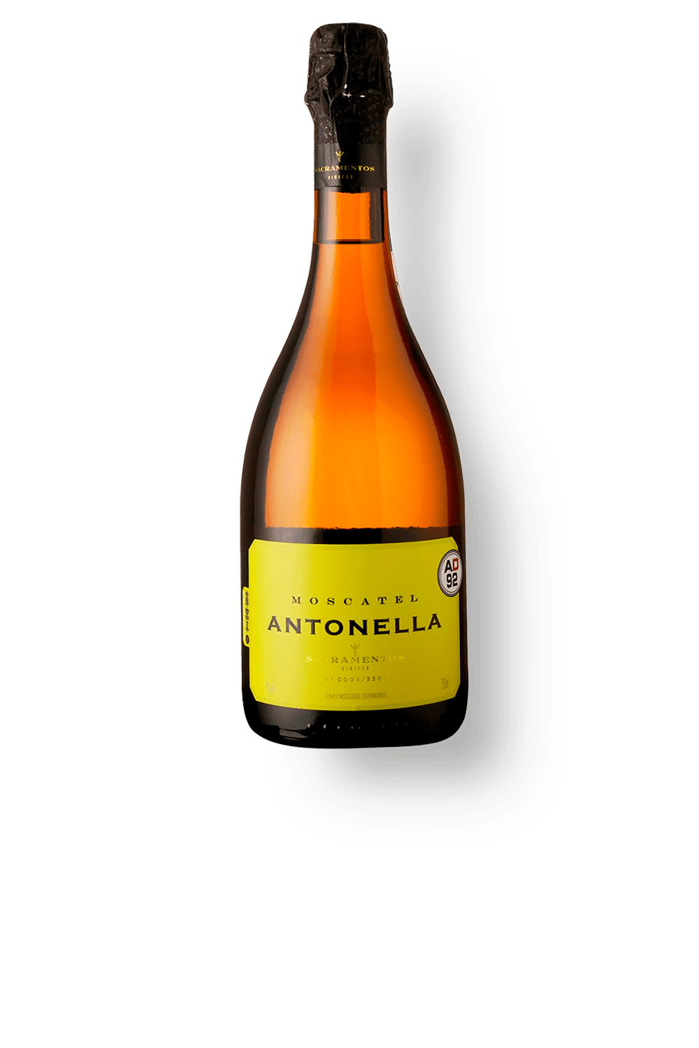 Antonella-Moscatel-2