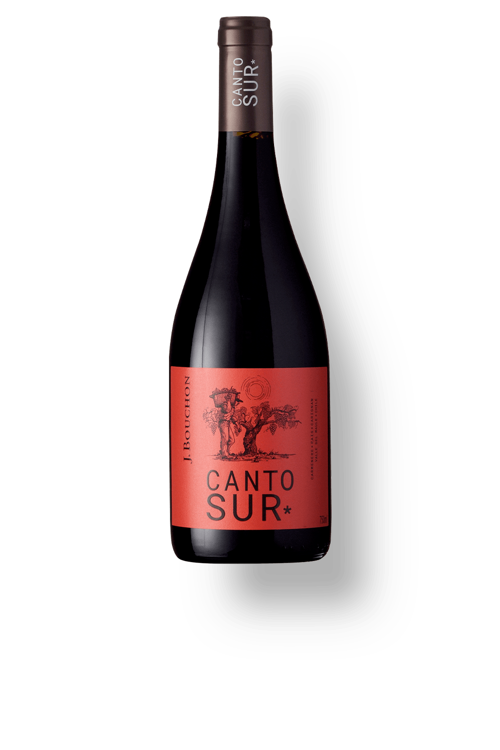 Vinho Bouchon Family Wines Tinto Seco Chile Canto Sur Blend 2023 750ml