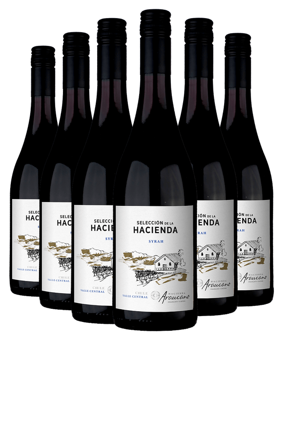 Kit 6 Selección de La Hacienda Syrah