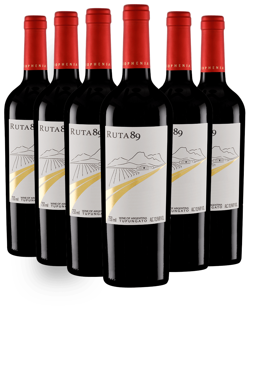 Vinho Finca Sophenia Tinto Seco Argentina Ruta 89 Reserve Malbec 2024 750ml - 6 Unidades