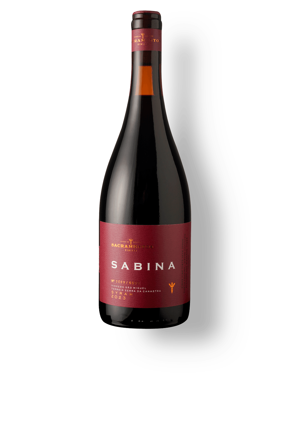 Vinho Sacramentos Vinifer Tinto Seco Brasil Sabina Syrah 2023 750ml