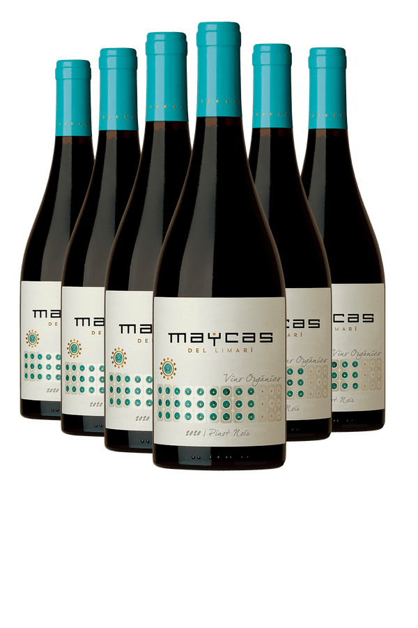 Kit 6 Maycas Pinot Noir