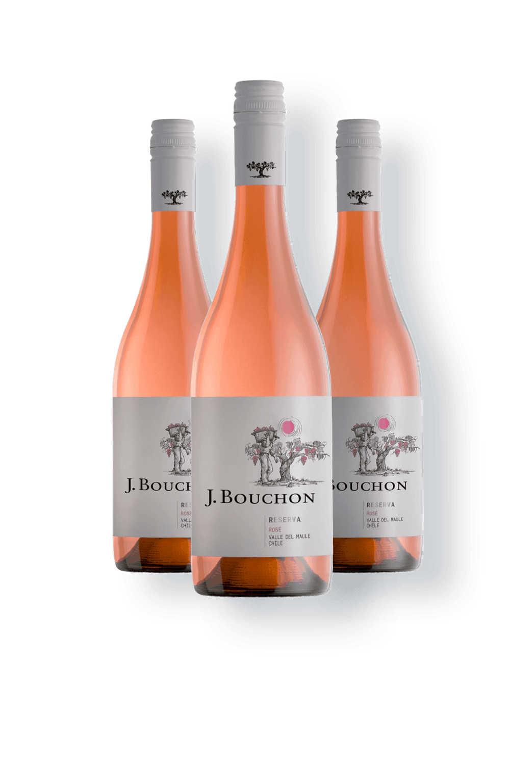 Vinho Bouchon Family Wines Rosé Seco Chile Reserva País 2023 750ml - 3 Unidades