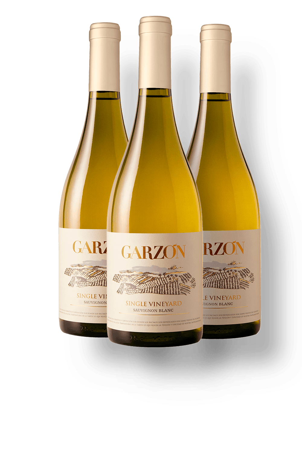 Kit 3 Garzón Single Vineyard Sauvignon Blanc