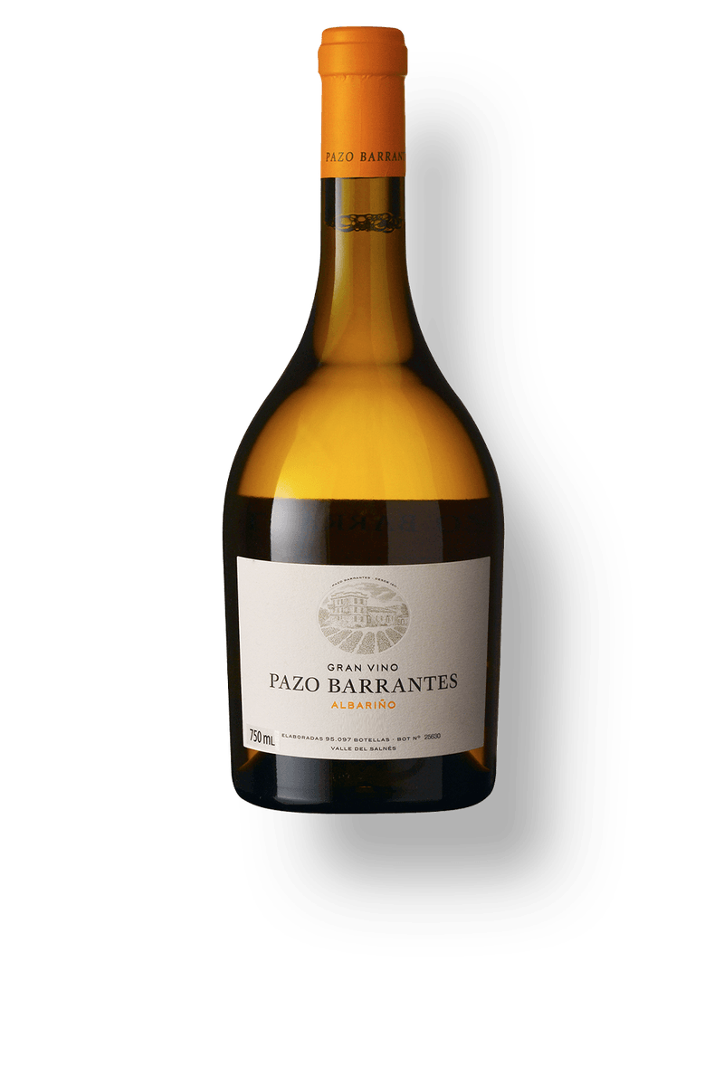 Vinho Marqués de Murrieta Branco Seco Espanha Pazo de Barrantes Alvarinho 2021 750ml
