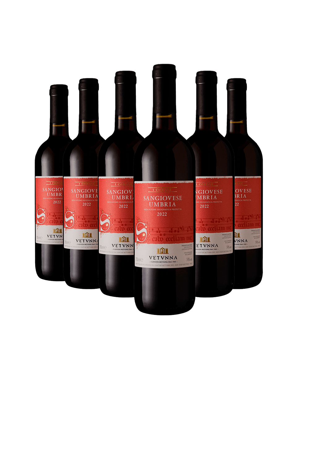 Vinho Cantine Bettona Tinto Seco Itália Corali Sangiovese 2022 750ml - 6 Unidades