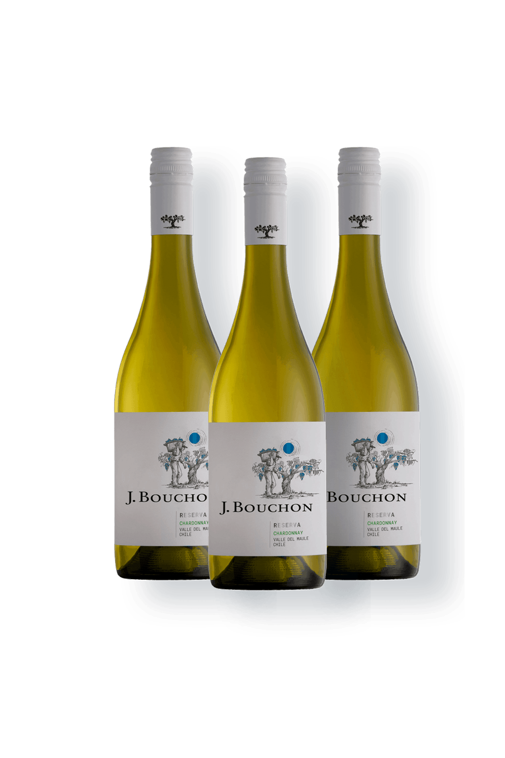 Vinho Bouchon Family Wines Branco Seco Chile Reserva Chardonnay 750ml - 3 Unidades