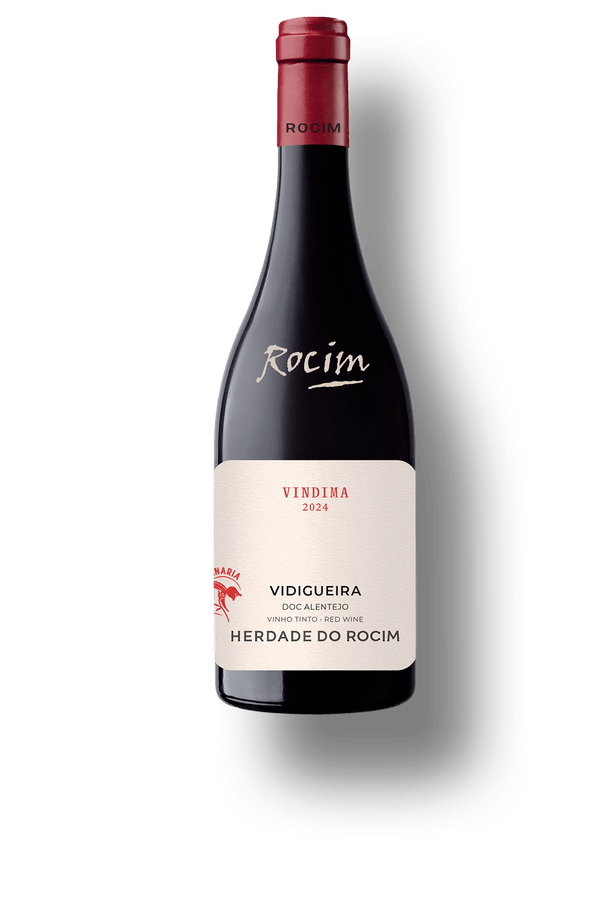Rocim Tinto