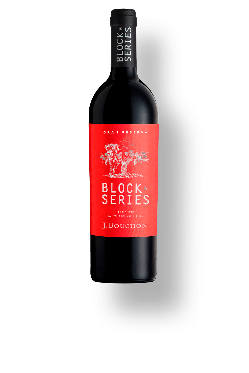 Vinho Bouchon Family Wines Tinto Seco Chile Block Series Carménère 2019 750ml