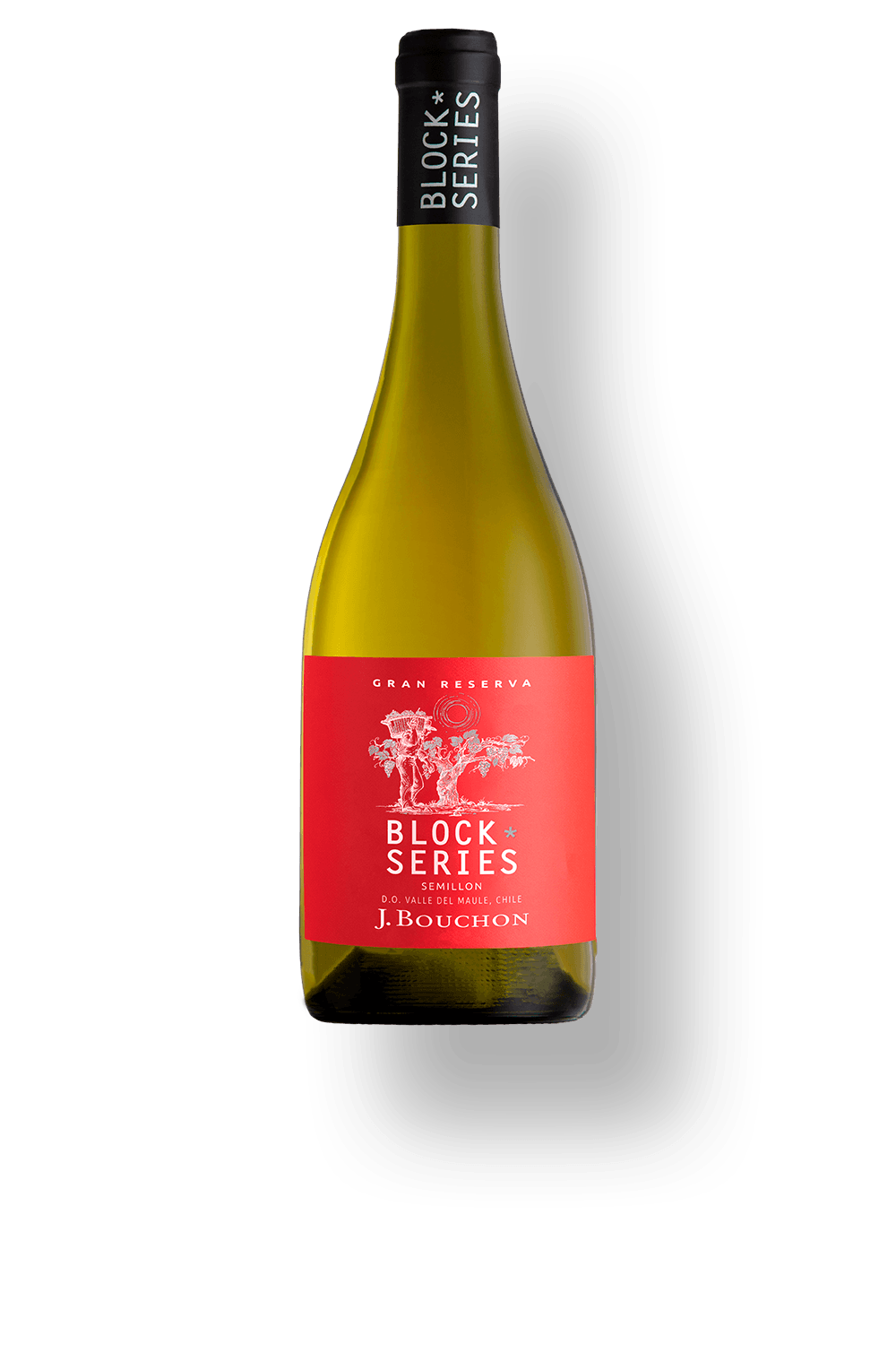 Vinho Bouchon Family Wines Branco Seco Chile Block Series Sémillon 2023 750ml
