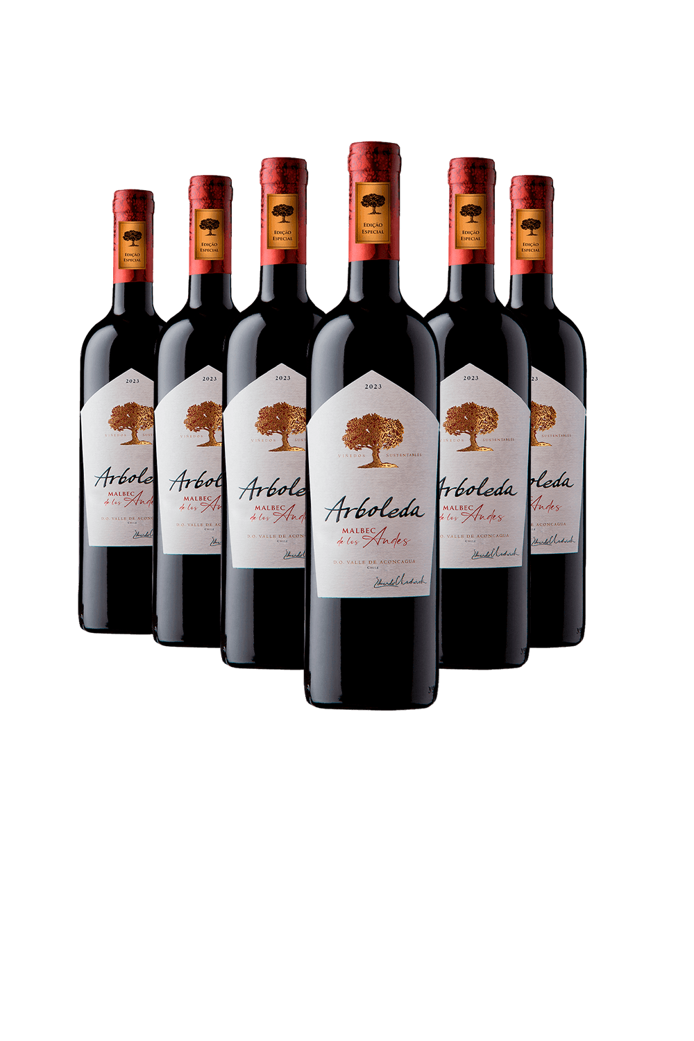 Kit 6 Arboleda Malbec de Los Andes
