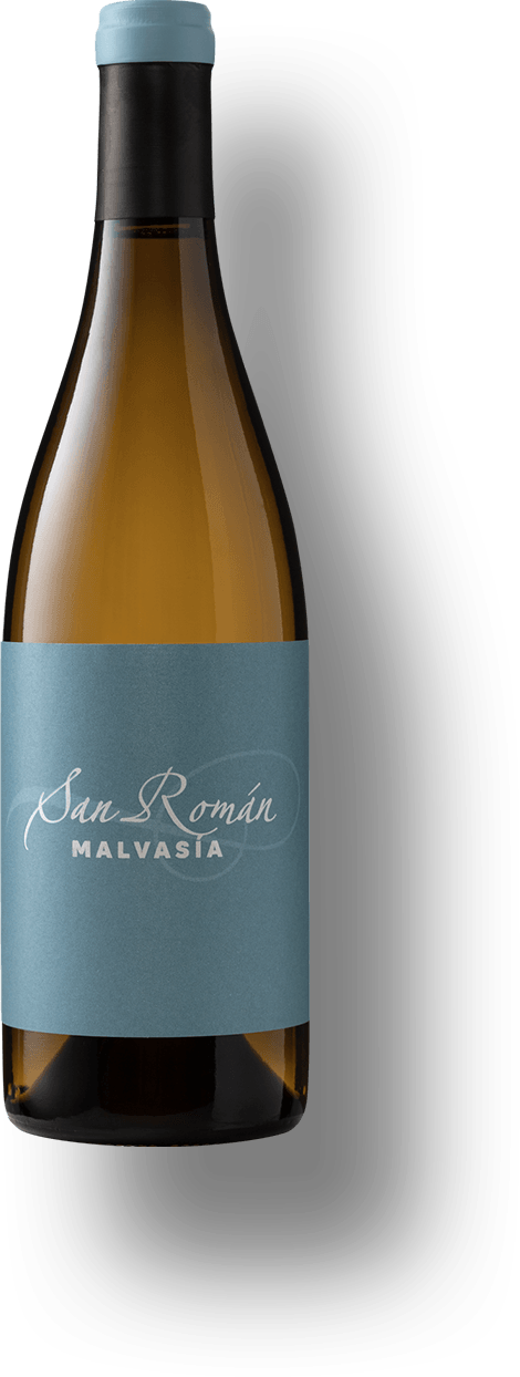 San Roman Malvasía San Roman Malvasia